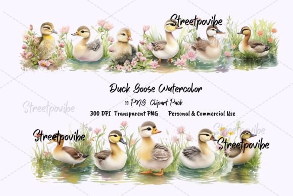 Baby Duck Goose Watercolor Clipart PNGs & Illustrations