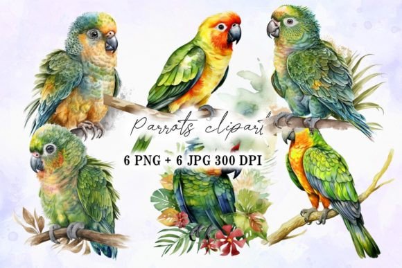 Baby Parrot Watercolor Hand Drawn Set: A Designer’s Honest Review for Real Client Projects