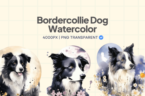 Border Collie Dog Watercolor Element PNG Illustrations