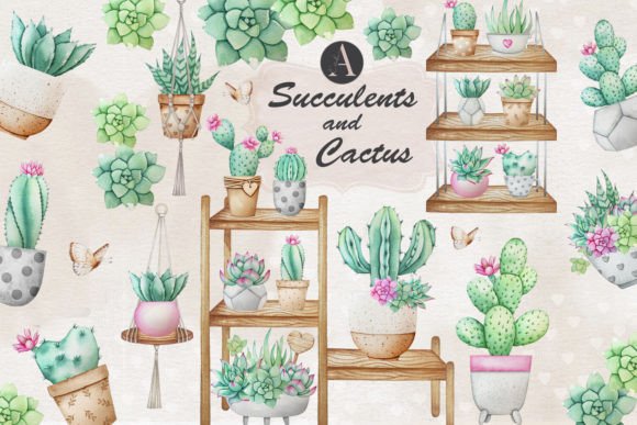 Cactus and Succulents Watercolor: A Brand Designer’s Review for Marketing & Content Creation