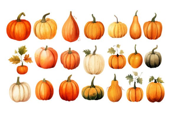 Fall Watercolor Pumpkin Sublimation PNG: Illustrations Review