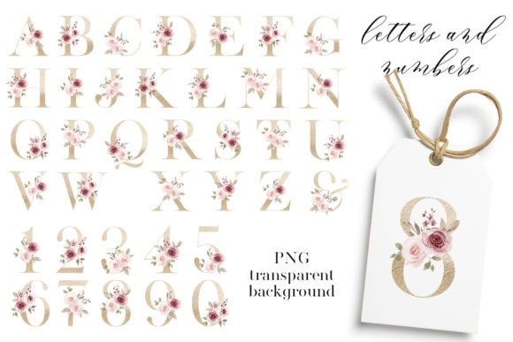 Gold Letters & Floral Alphabet Illustrations Review