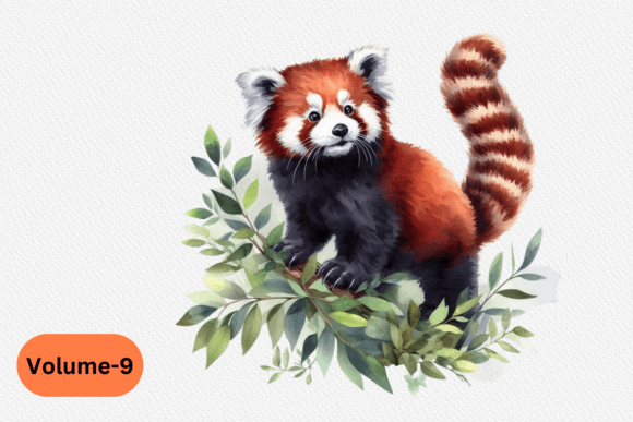 h1Watercolor Red Panda Clipart Volume –9: Illustrations for Whimsical Branding and Creative Design Projects/h1