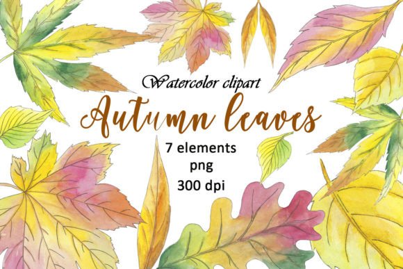 Leaves Autumn Watercolor Clipart Maple: A Visual Review for Branding and Marketing