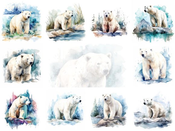 Polar Bear Watercolor Illustrations: A Designer’s Real-World Review