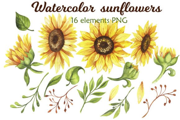 Sunflowers Watercolor Illustrations for Crafting