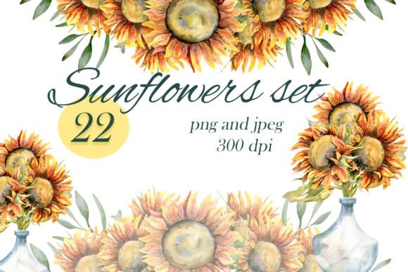Watercolor Hand Drawn Sunflowers Set: Illustrations Review