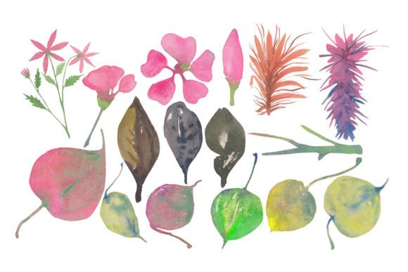Watercolor Leaf and Flower Set: A Stitch-Test Review