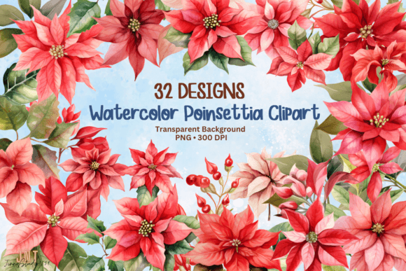 Watercolor Poinsettia Clipart PNG Review