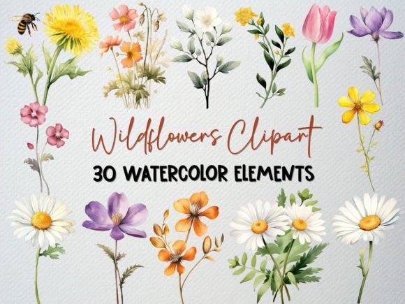 Watercolor Wildflower Clipart Set 2: A Designer’s Real-World Review for Branding & Visual Projects