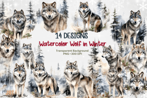 Watercolor Winter Wolf Clipart Png Illustrations Review