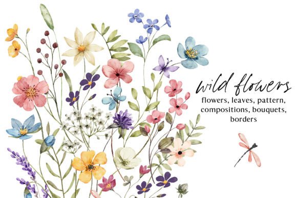 Wild Flowers, Butterflies and Dragonfly Illustrations