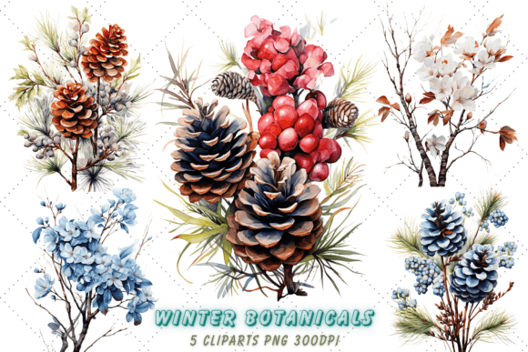 Winter Watercolor Botanicals Clipart Illustrations Review